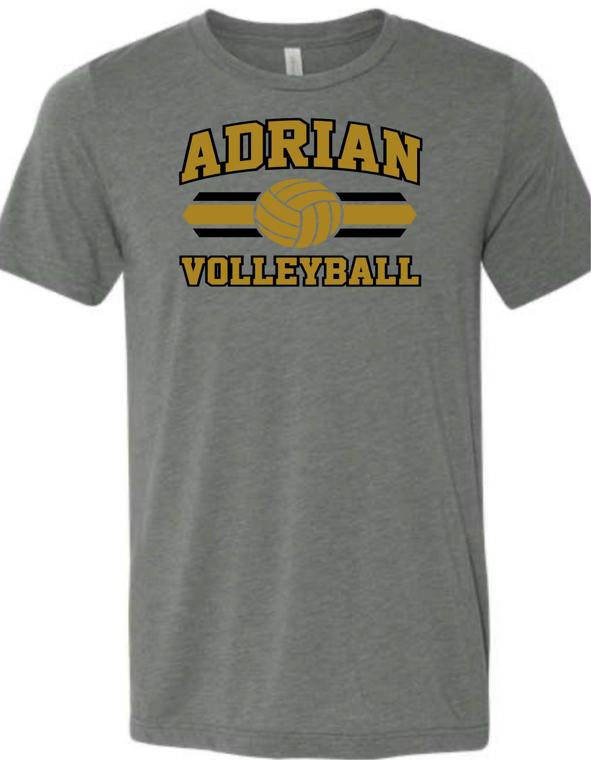 Adrian HS Volleyball 2026